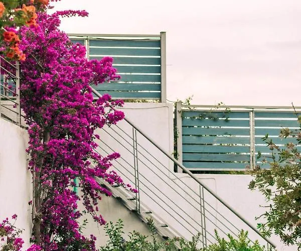 Aries * Kalivia (Skiathos)