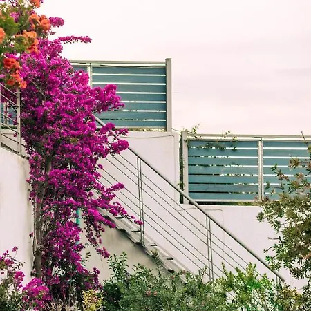 Aries * Kalivia (Skiathos)